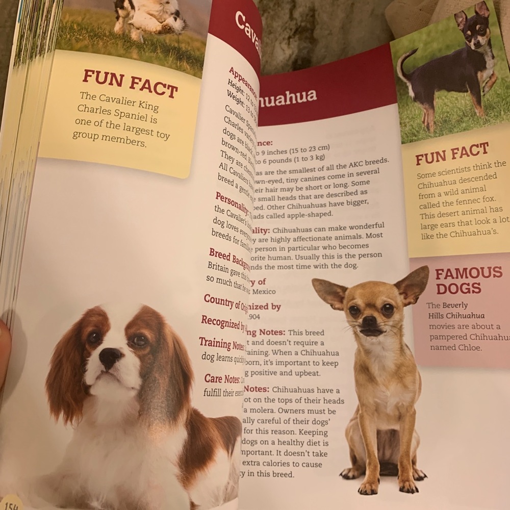 *Dogs encyclopedia book - Picture 3 of 10